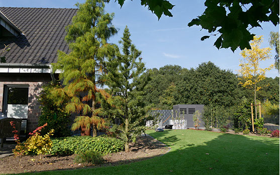 Ostseite mit Blickrichtung Nutzgarten, Naschgarten, organische Beetformen, Gartendesign, Gartengestaltung, Gartenplanung, Wesel, Gilhaus