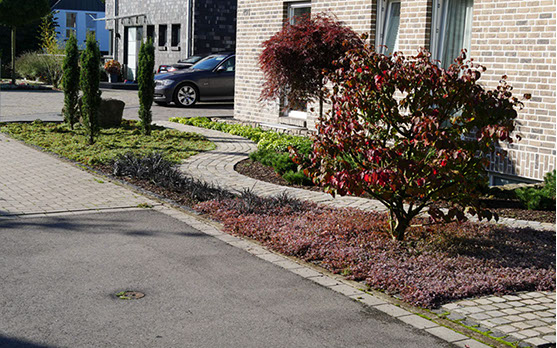 Pflasterung, Beetgestaltung, Vorgarten, Bodendecker, immergruen, Gartenplanung, Gartenbau, Wesel, Gilhaus